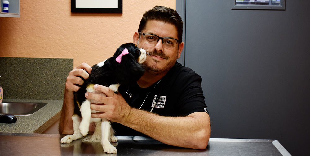 Pet Wellness Exams at Jupiter Animal Hospital in Jupiter Florida