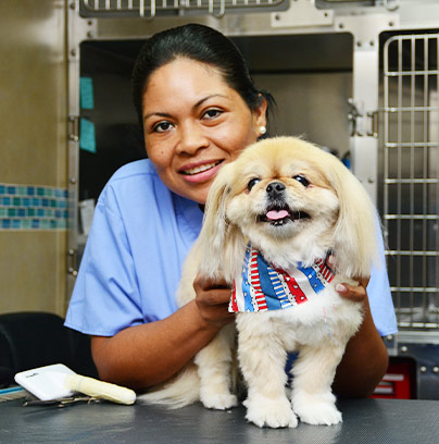 Meet Laura our Groomer