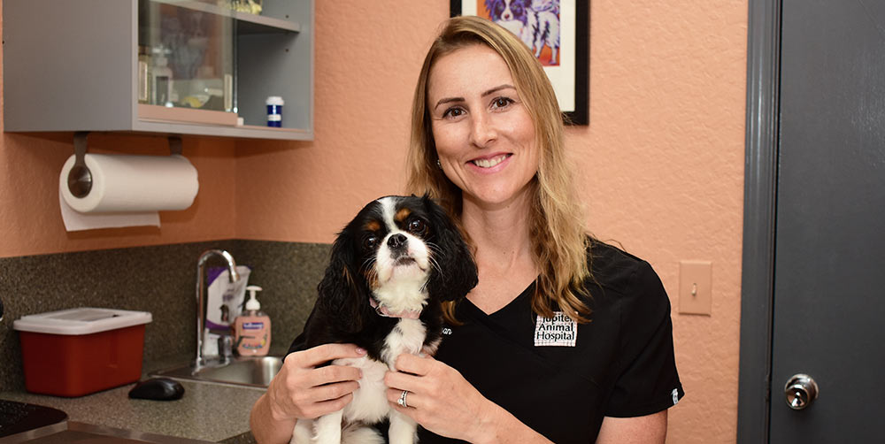 Meet Dr. Christine Morgan, DVM