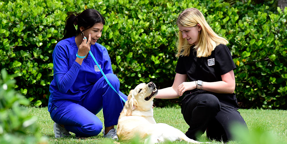 Our Mission at Jupiter Animal Hospital