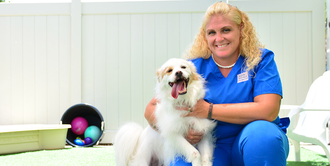 Outdoor Playtime for your pets at Jupiter Animal Hospital