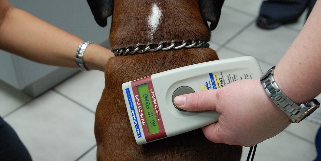 Pet Microchipping in Jupiter Florida