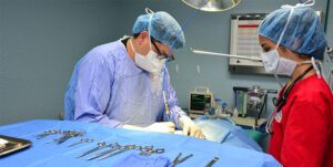 Pet Surgery in Jupiter, FL