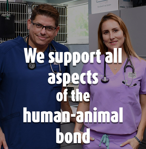 veterinarians-jupiter-florida